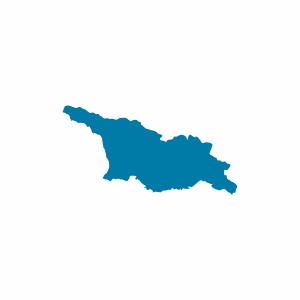 G�rcistan Vizesi